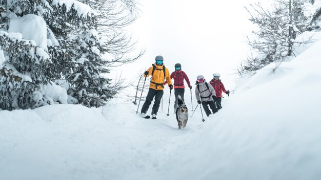 A group of skiers with a dog in a snowy landscape. | © ATOMIC