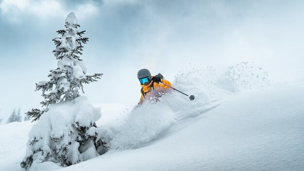Skier making a turn in powder snow next to a snow-covered tree | © ATOMIC