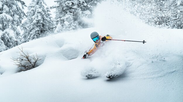 Skier carving through deep powder snow. | © ATOMIC