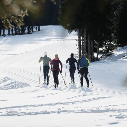 Vier Personen beim Langlaufen in der verschneiten Landschaft. | © INTERSPORT International Corporation GmbH