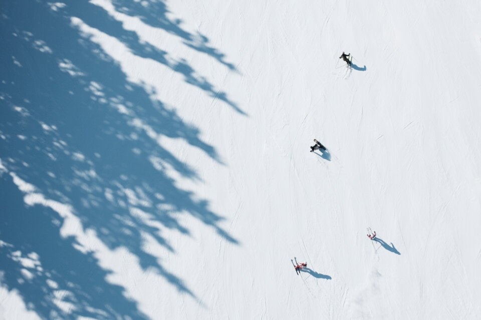 Draufsicht auf Skifahrer und Snowboarder auf einer schneebedeckten Piste mit Baumschatten. | © INTERSPORT International Corporation GmbH