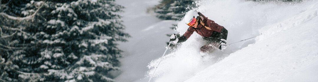 Skier carving through powder snow near snowy trees