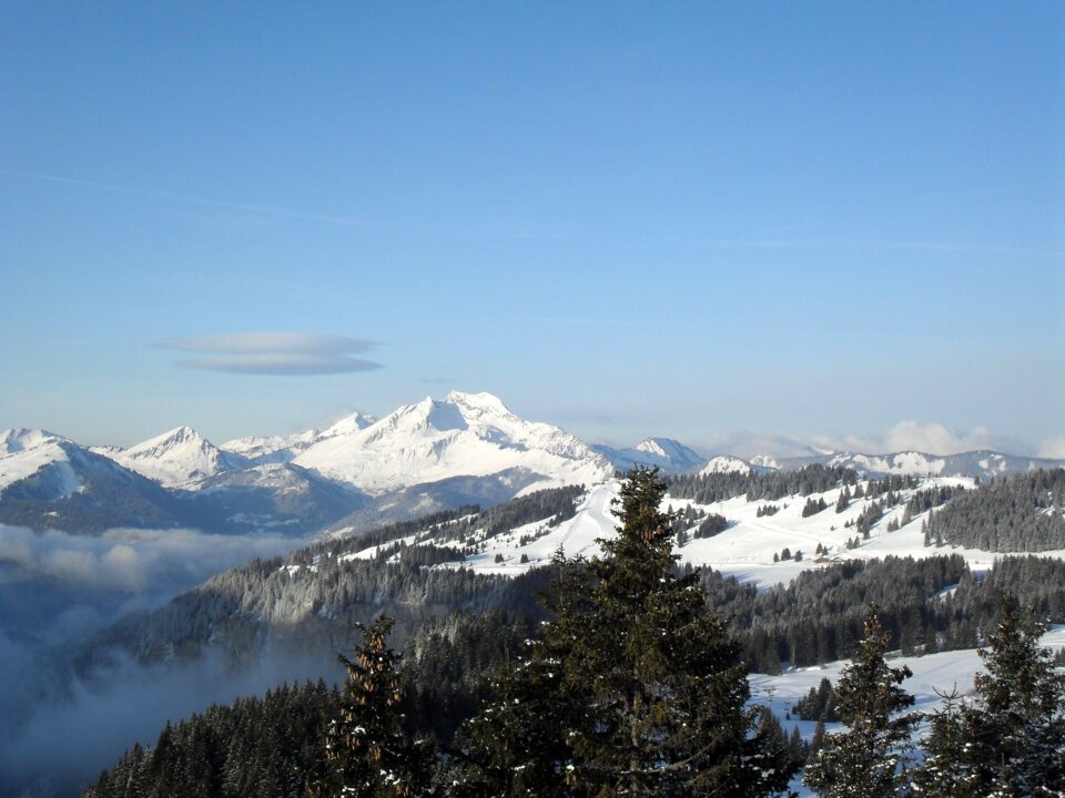 Montagnes enneigées avec des pins sous un ciel bleu | © Savoie MontBlanc / Mulot