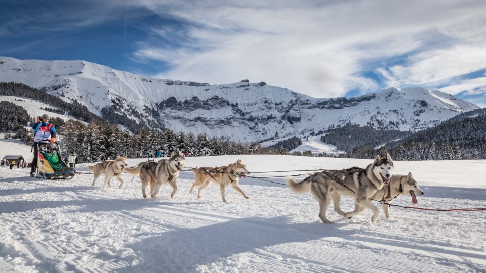 Hundeschlittenrennen vor verschneiter Bergkulisse | © Simon Garnier