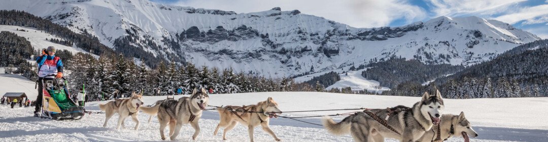 Course de traîneau à chiens dans les montagnes enneigées | © Simon Garnier