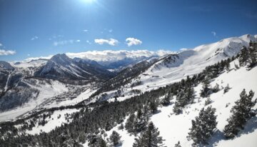 Winter landscape with snow-covered mountains and trees under a bright sun. | © Florian COLAS / Office de Tourisme de Montgenèvre