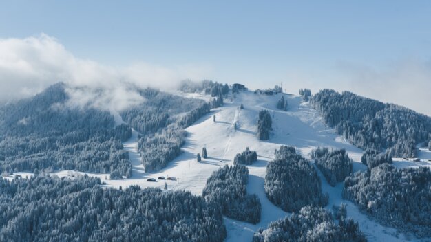 Snowy mountain landscape with coniferous trees and ski slopes. | © Morzine Tourist Office