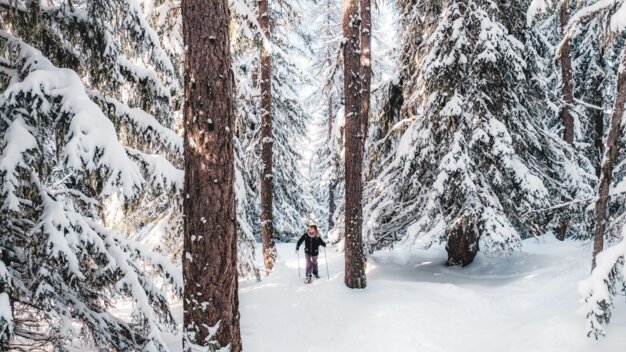 Person snowshoeing in a snowy forest. | © LezBroz