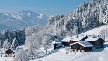 Snowy houses in a winter landscape | © Christian Martelet