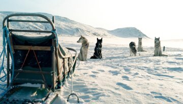 Hundeschlitten mit Huskies in verschneiter Landschaft | © Elina Sirparanta | Visit Finnland