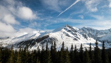 Verschneite Berge und Kiefernwald unter blauem Himmel