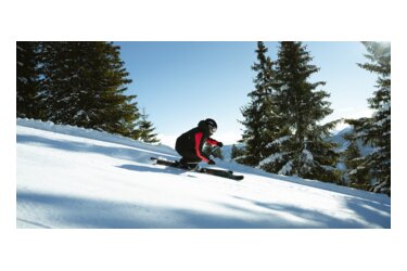 Skieur sur piste enneigée entre des arbres.